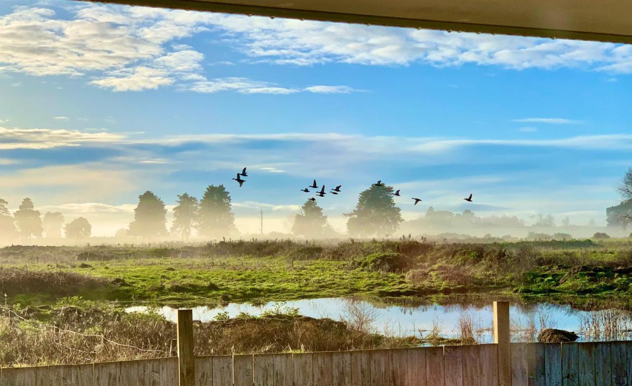 Radiata Homestay Hamilton Exteriér fotografie